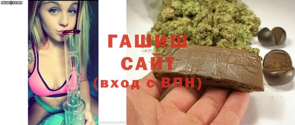 индика Алзамай