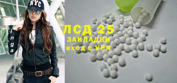 прущие грибы Алексеевка