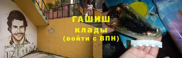 индика Алзамай