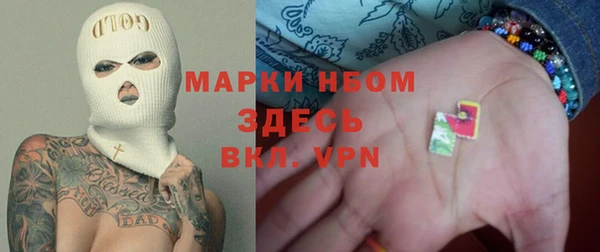 индика Алзамай