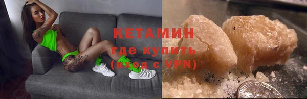 индика Алзамай