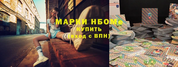 индика Алзамай