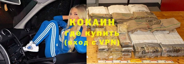 индика Алзамай